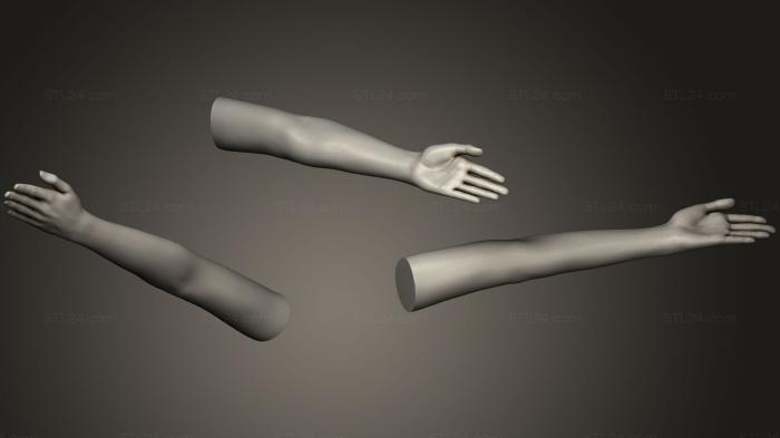 Anatomy of skeletons and skulls (Female Arm Pose 15, ANTM_0425) 3D models for cnc